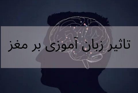 زبان اموزی