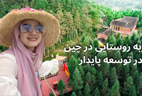 تجربه روستایی در چین در توسعه پایدار