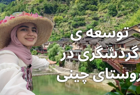 تولو چیست؟ (2)